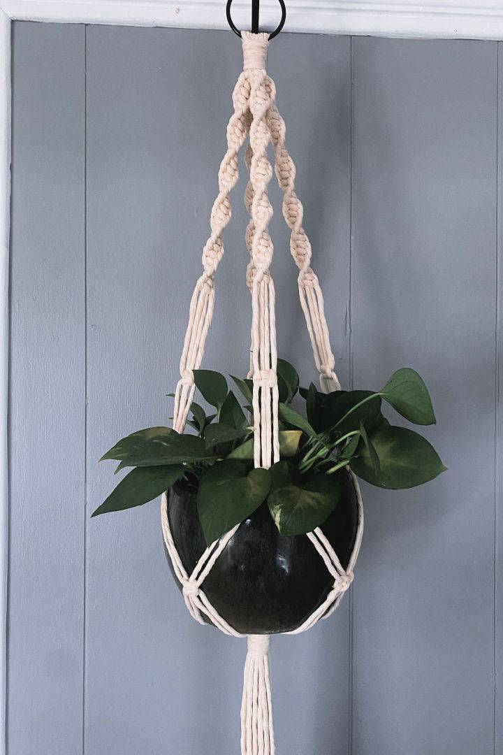DIY Macrame Plant Hanger for Beginners