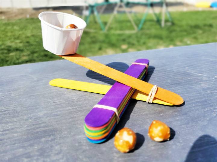 DIY Popsicle Stick Catapult Fun for Kids