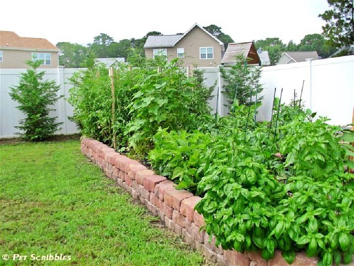 DIY Raised Garden Bed for Vegetables