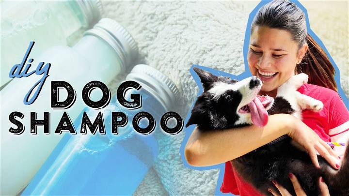 DIY Dog Shampoo With Only 4 Ingredients