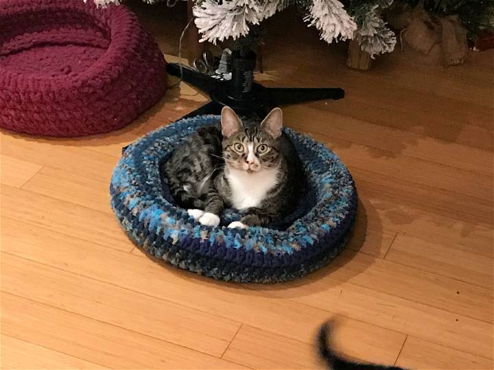 Easiest Padded Rim Cat Nap Bed to Crochet