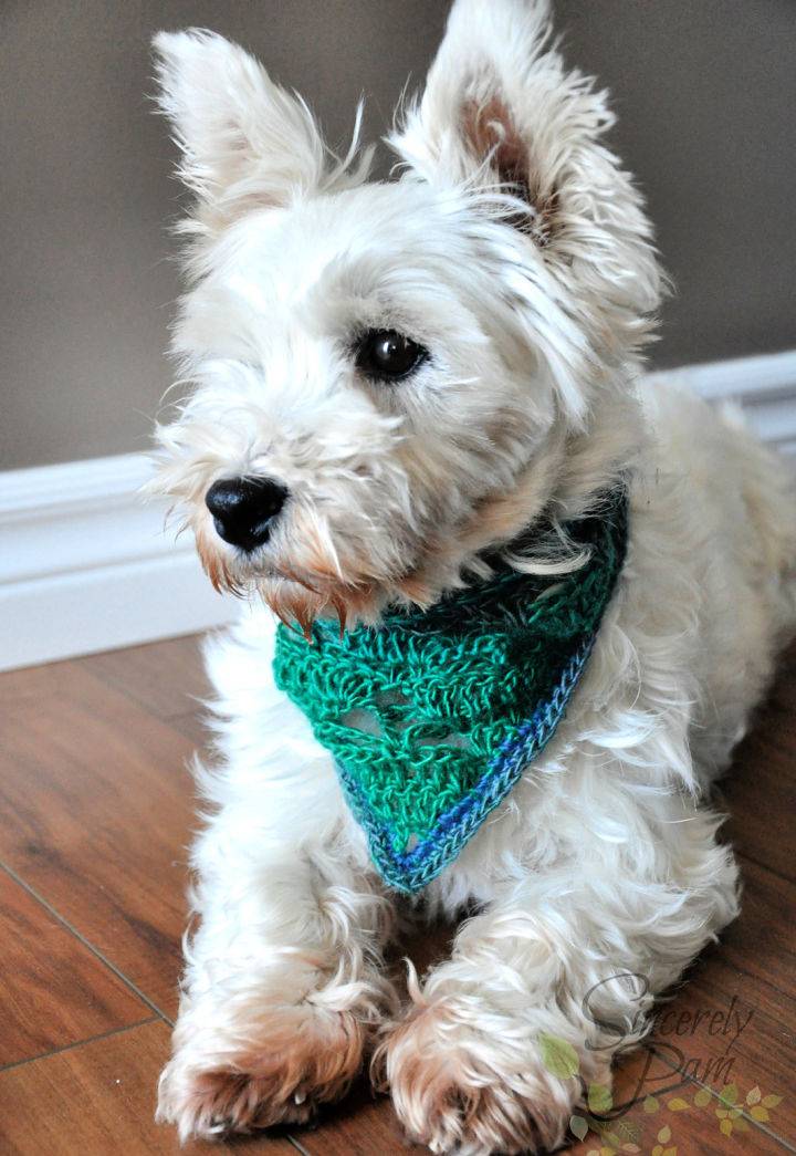 Easiest Rigby Scarf to Crochet