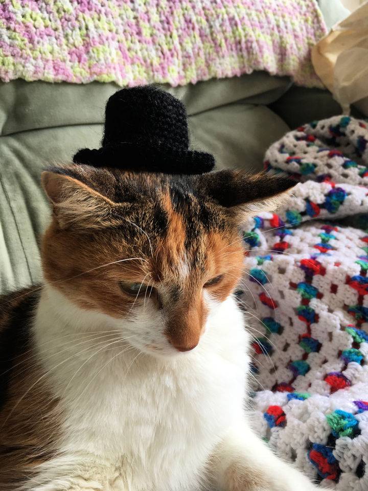 Free Crochet Pattern for Cat Top Hat
