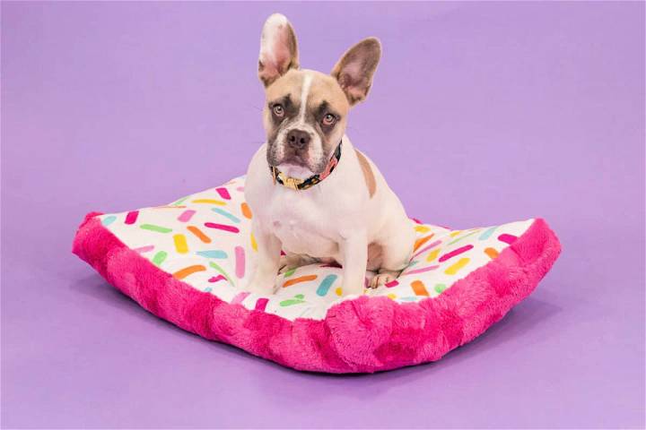 Free Dog Bed Sewing Pattern