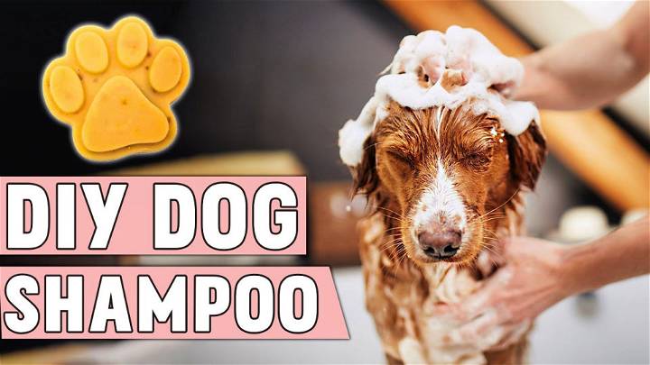 Simple Homemade Dog Shampoo