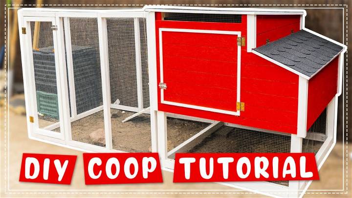 How to Build Chicken Coop + Run