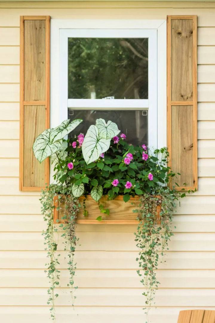 How to Build a Window Box
