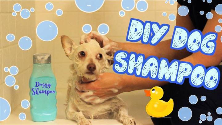 How to Make Dog Shampoo at Home