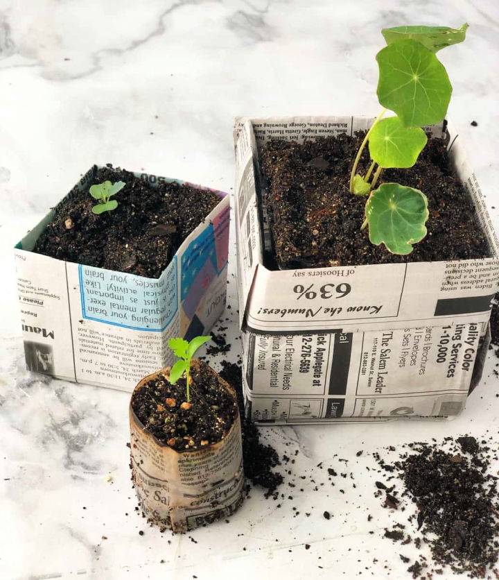 How to Make Newspaper Pots for Seedlings