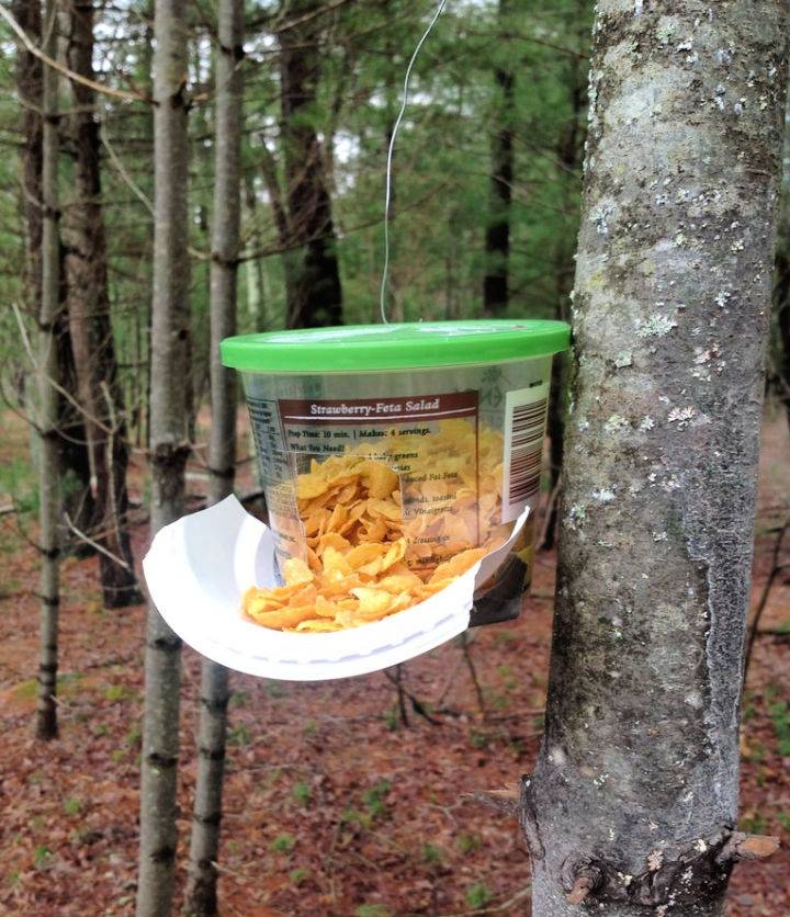 How to Make Your Own Bird Feeder