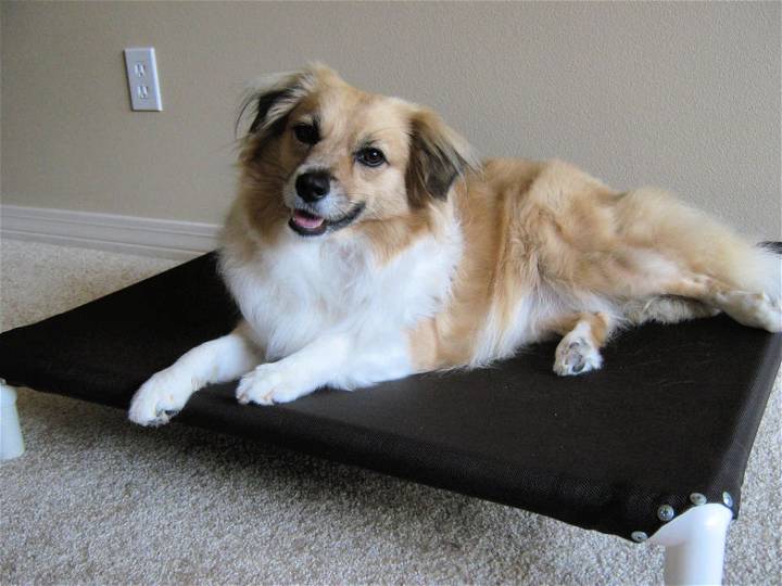 How to Make a Dog Cot for Around $10