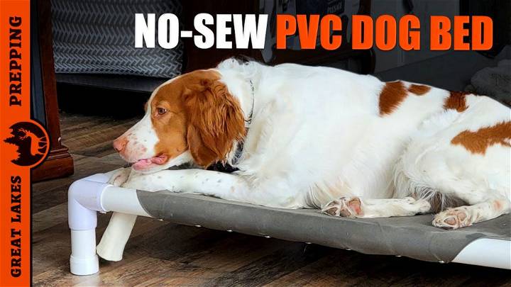 No-Sew Elevated Dog Bed From Pvc Pipes