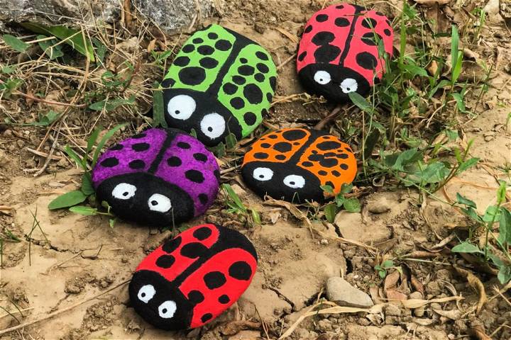 DIY Ladybird Pebbles - Step by Step Instructions