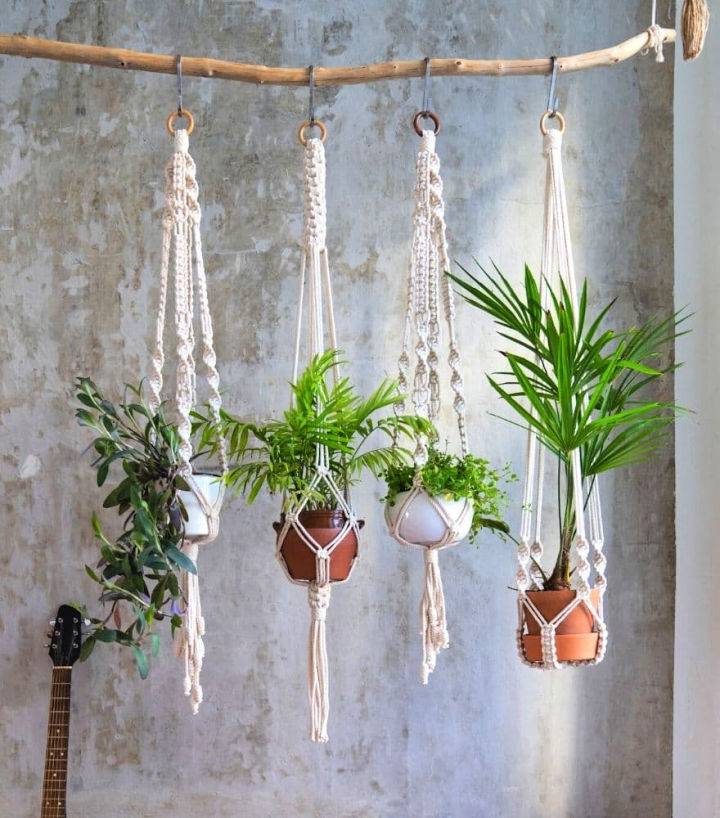 Make Your Own Macrame Plant Hanger