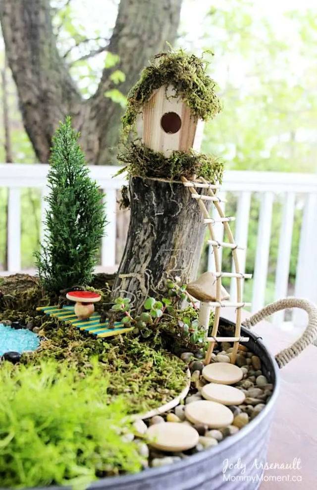 Make a Fairy Garden on a Budget
