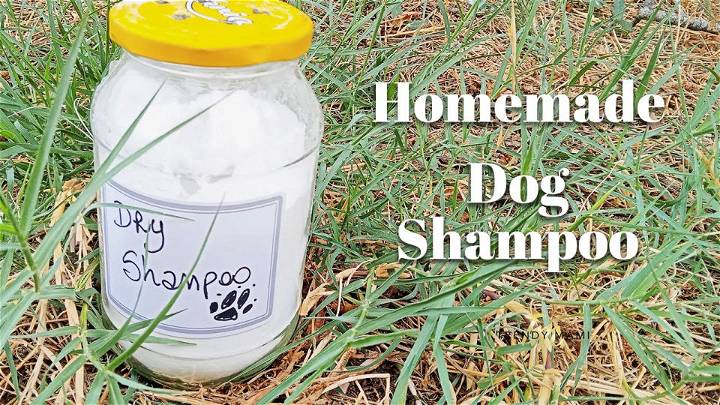 How to Make a Natural Dry Dog Shampoo