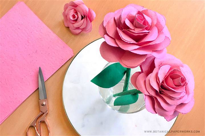  Making a Seed Paper Rose