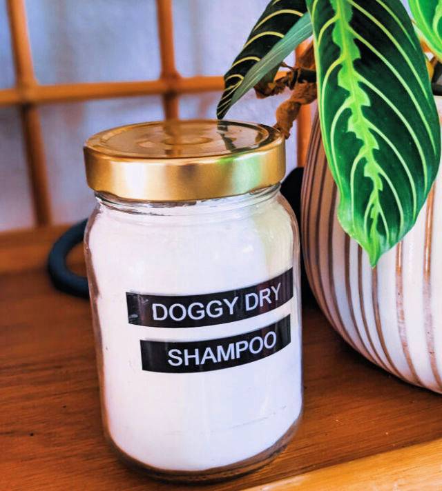 How to Make a Dry Shampoo for Dogs