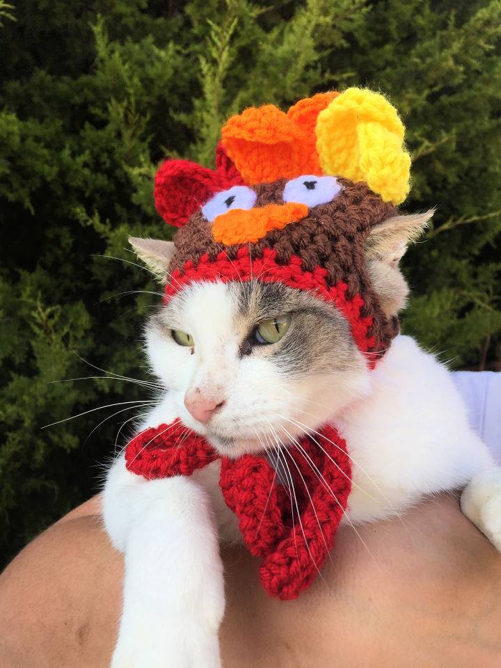 Free Crochet Cat Turkey Hat Pattern