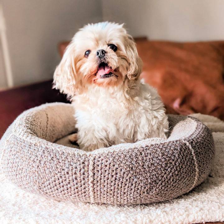 How to Crochet Dog Bed - Free Pattern