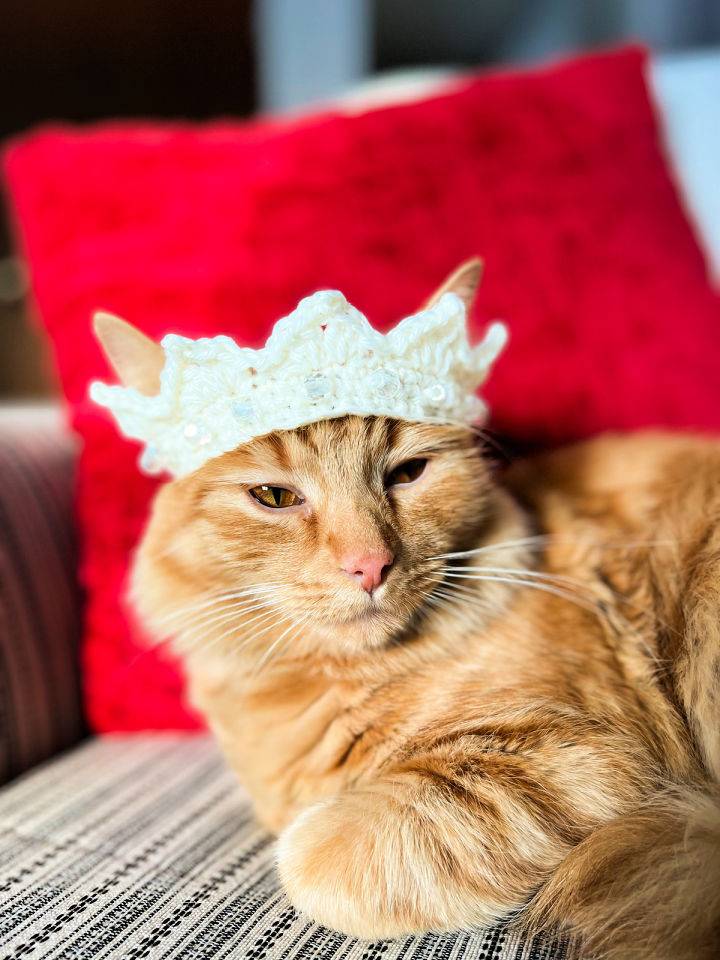 Crochet Maybelline's Cat Crown Pattern