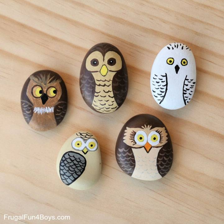 Easy DIY Owl Painted Rock