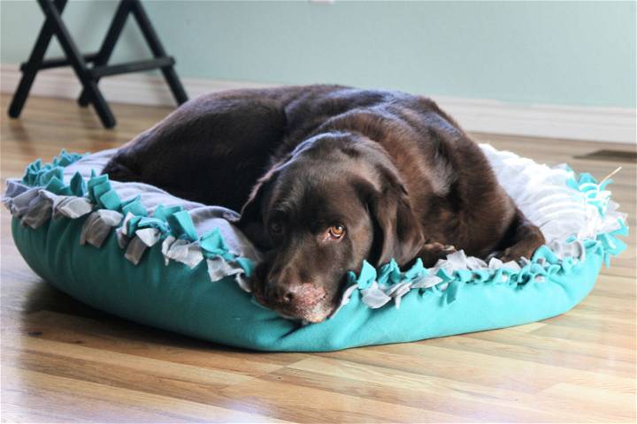 Quick and Easy DIY No Sew Dog Bed