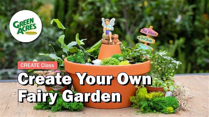 Quick and Easy Fairy Garden