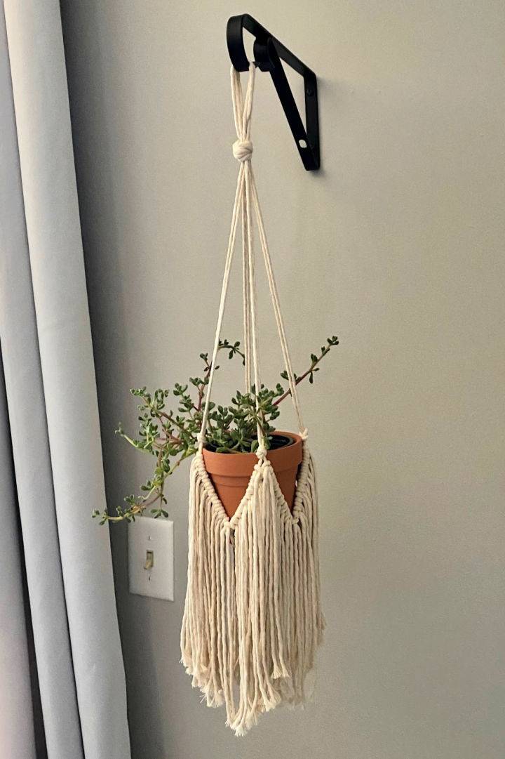 Quick and Easy Macrame Plant Hanger