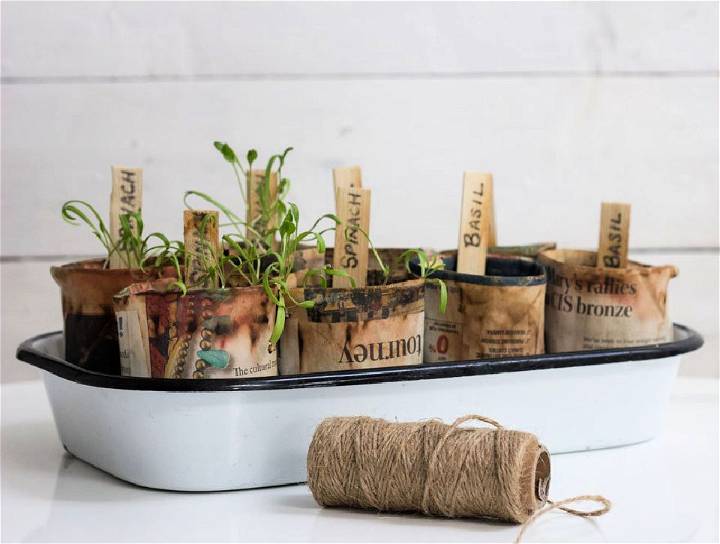 Recycled Newspaper Seed Planters for Patio Garden