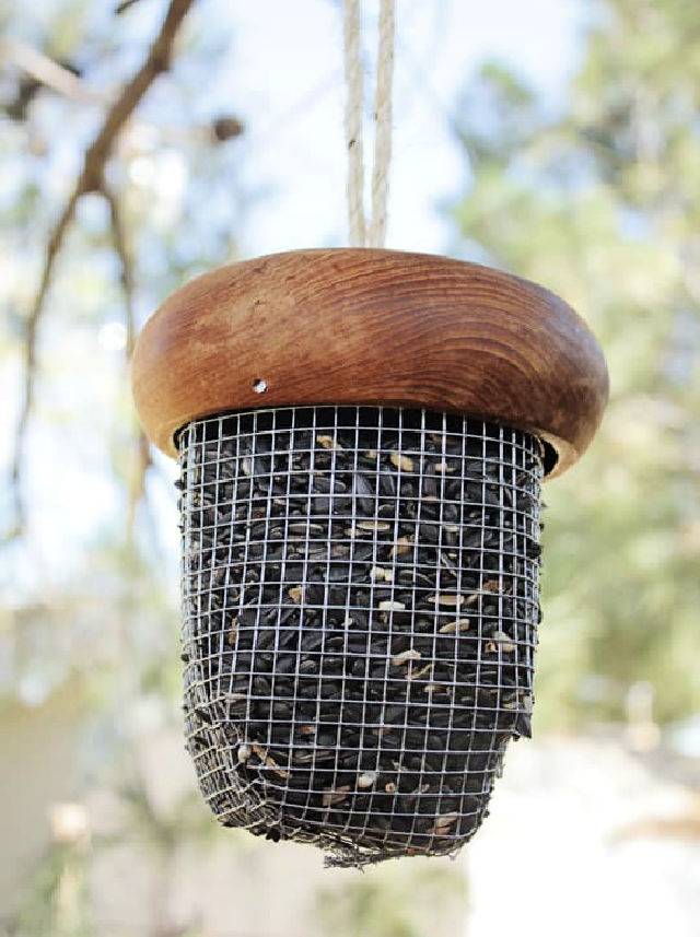 Unique DIY Acorn Bird Feeder