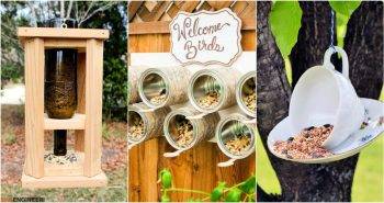 DIY bird feeder ideas