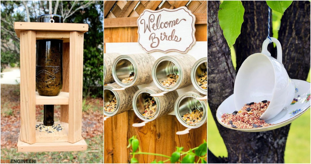 30 DIY Bird Feeder Ideas (Make Homemade Bird Feeders)