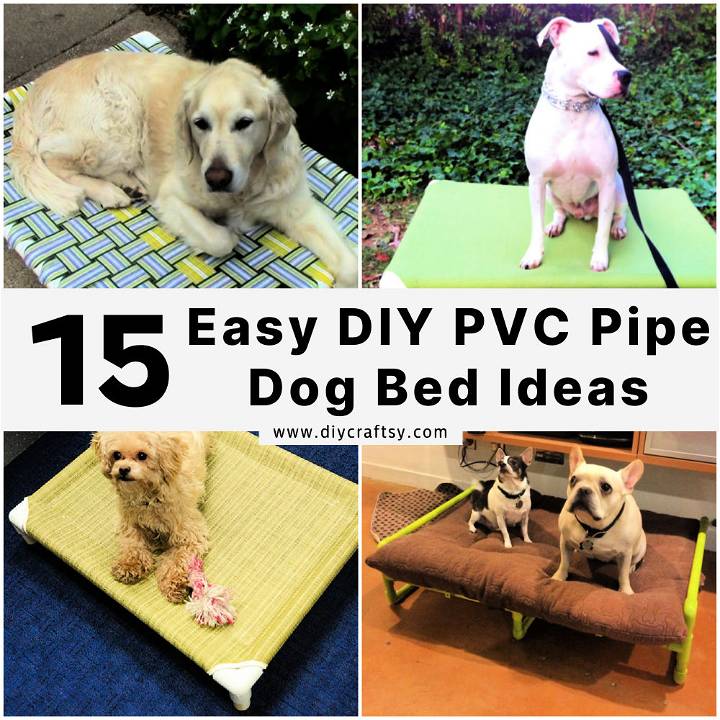 DIY pvc pipe dog bed ideas