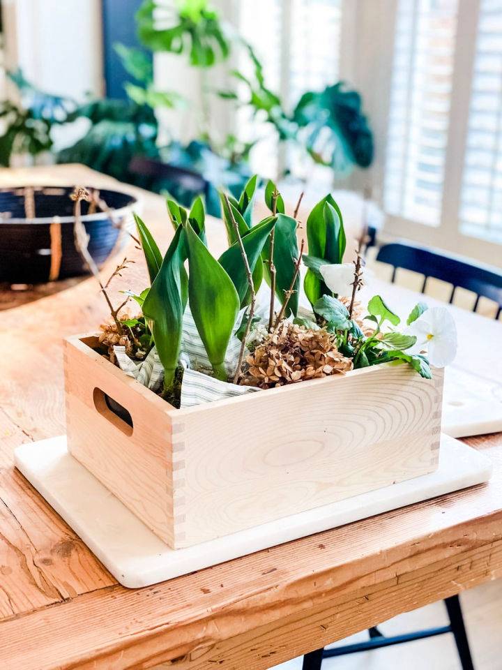Make an Indoor Spring Planter Box