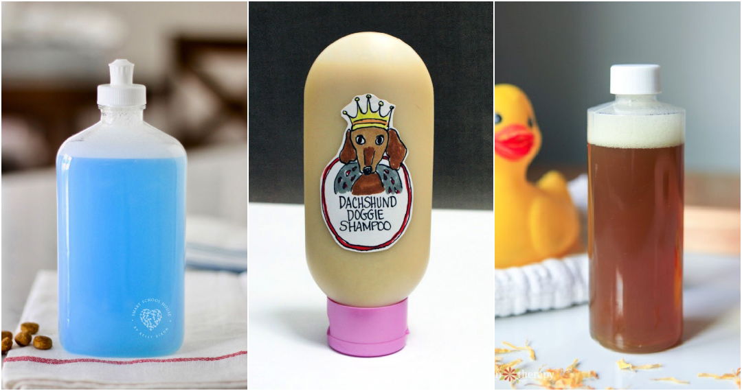 dog shampoo recipes