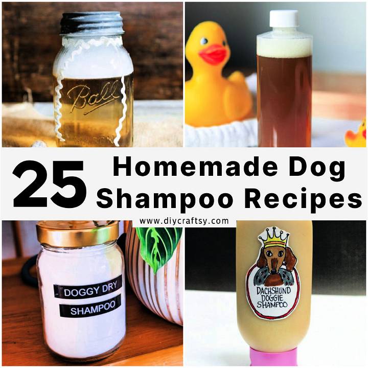 homemade dog shampoo recipes