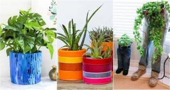 plant pot ideas