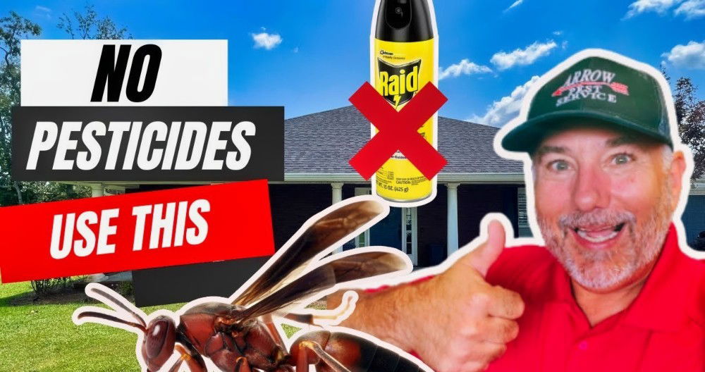 DIY wasp killer