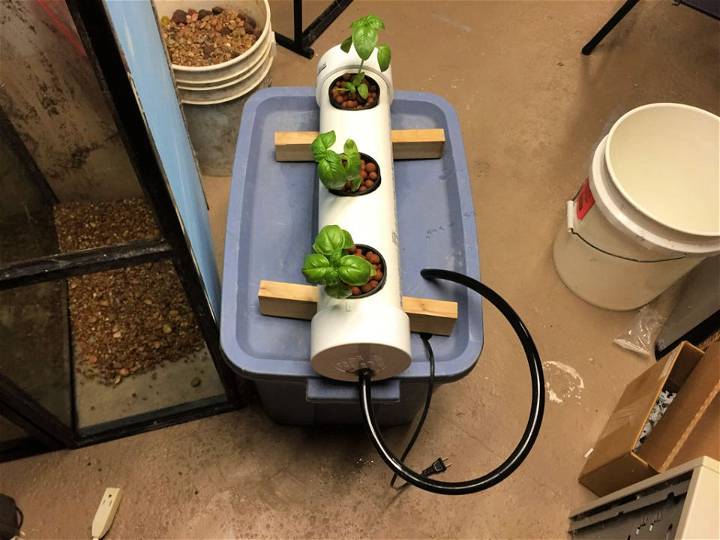 How to Make a NFT Hydroponic System