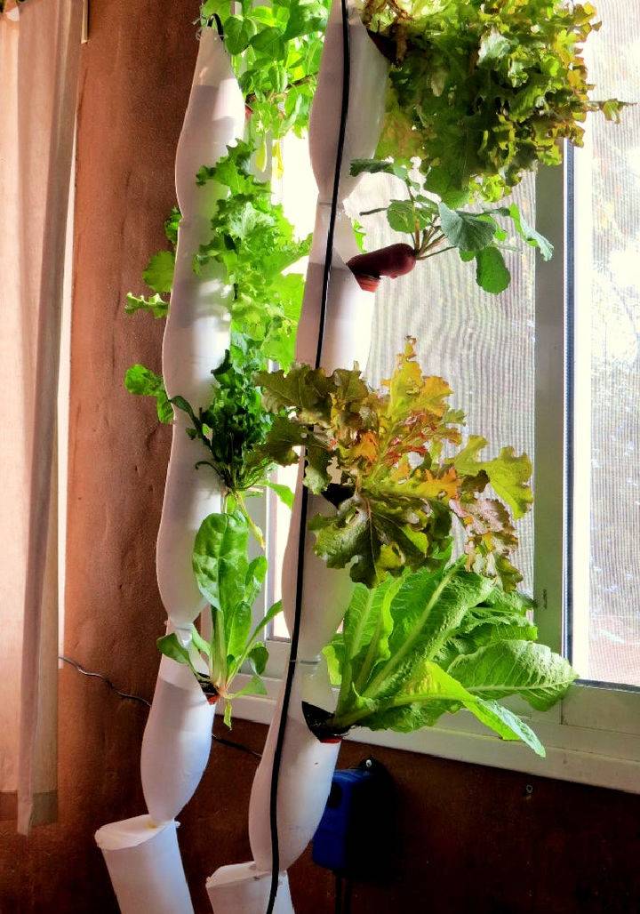 Homemade Hydroponic Window Farm