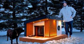 building a heated dog house for canadian winters