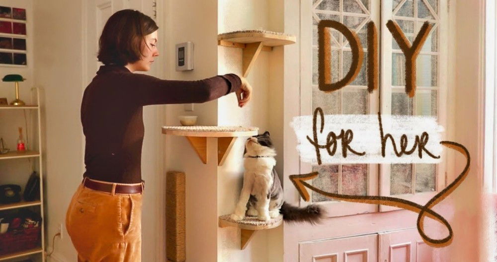 Cheap DIY Cat Shelves: Space for Your Cat's Adventures