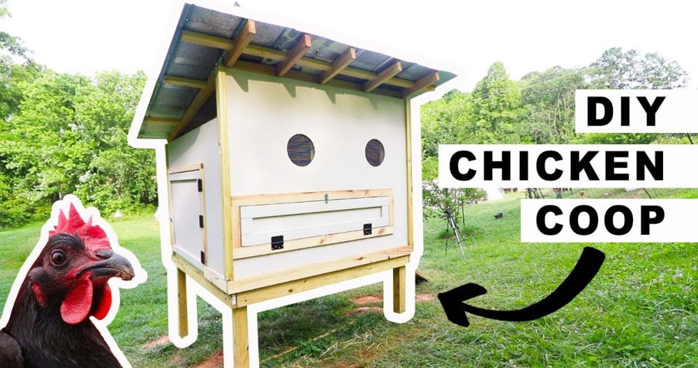 diy chicken coop for 25 chickens