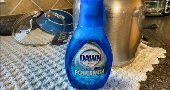diy dawn powerwash