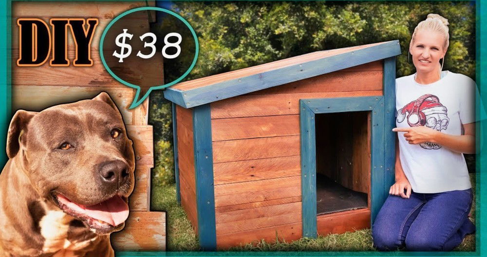 diy dog kennel