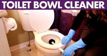 diy toilet bowl cleaner