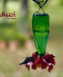 Homemade DIY Hummingbird Feeder: How to Make