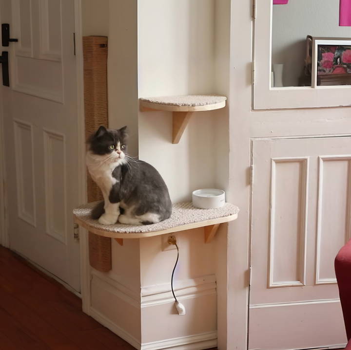 make cat shelves at home