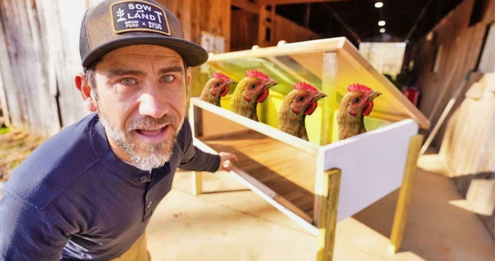Homemade DIY Chicken Brooder: How to Make a Brooder Box